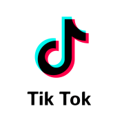 DIY Developer Guide Building Custom Integrations for TikTok