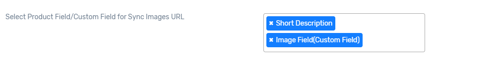 Work With BrightConnect’s Shopify Settings